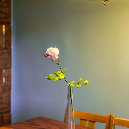 Charming And Stylish *