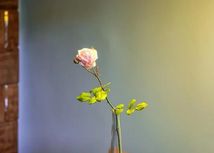 Charming And Stylish *